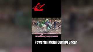 Q43-2500 Cesoia per alligatore